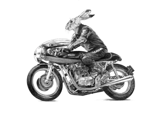 Hare 3