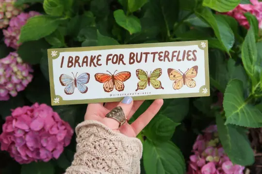 I Brake for Butterflies Car Decal