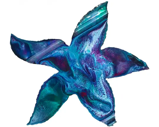 Starfish