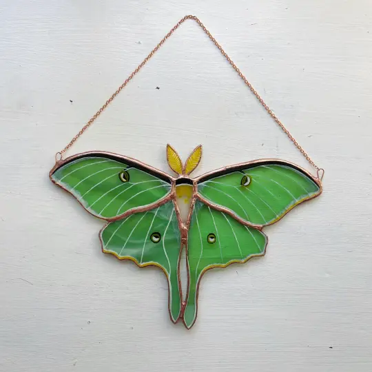 Luna Moth no.3