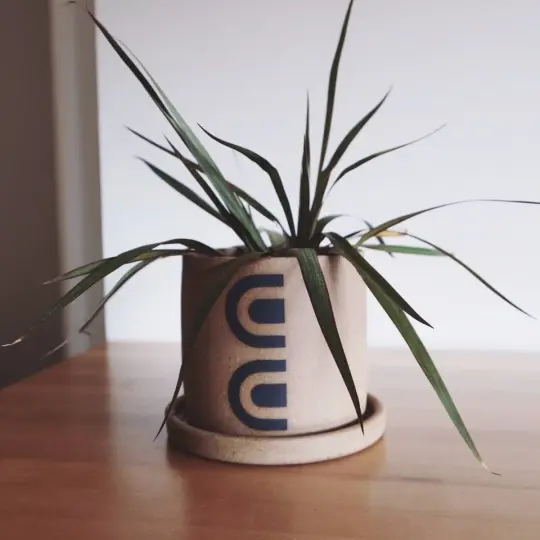 Dolly Planter with Tray