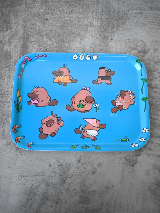 "Pleasantly Platypus" Catch-all tray