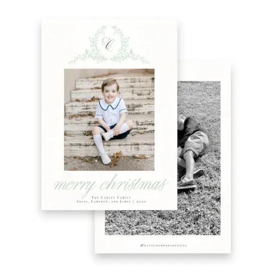 Merry Christmas & Happy New Year Holiday Card