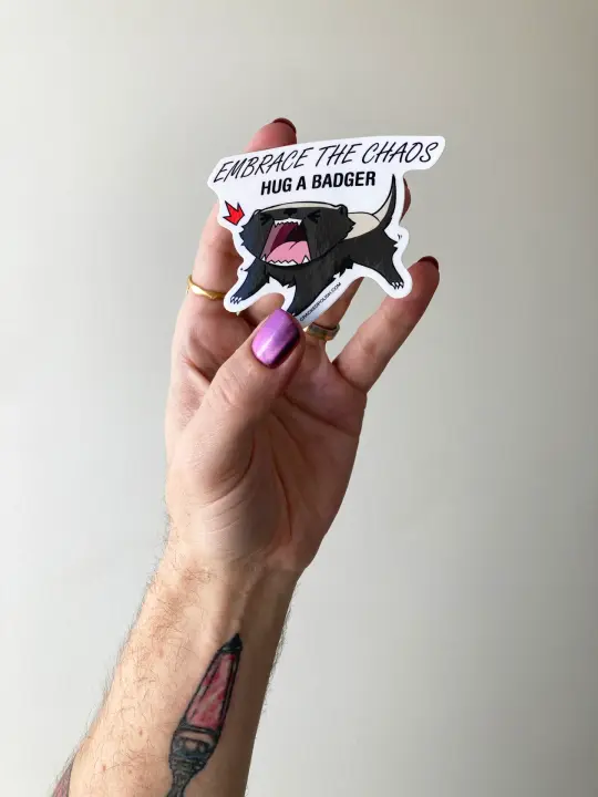 Embrace Chaos Sticker