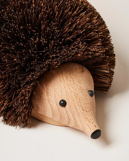 Hedgehog Shoe Brush