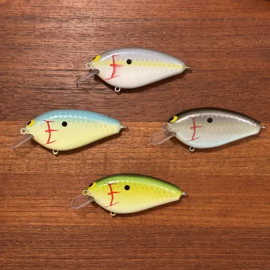 Epic Shad