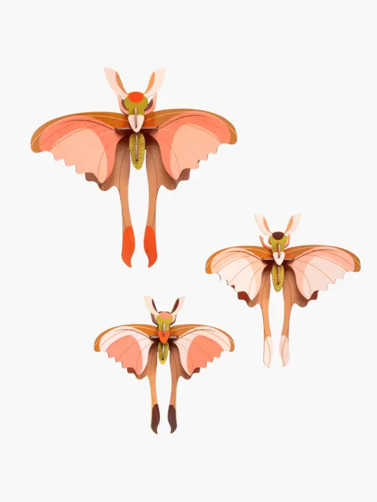 Comet Butterflies Wall Art - Set of 3