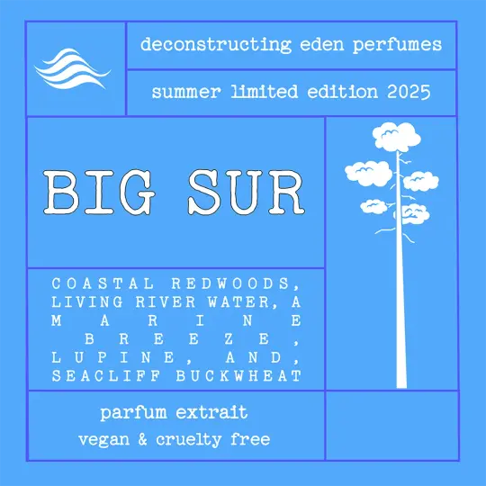 Big Sur (B-Side)