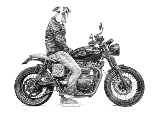 Dog