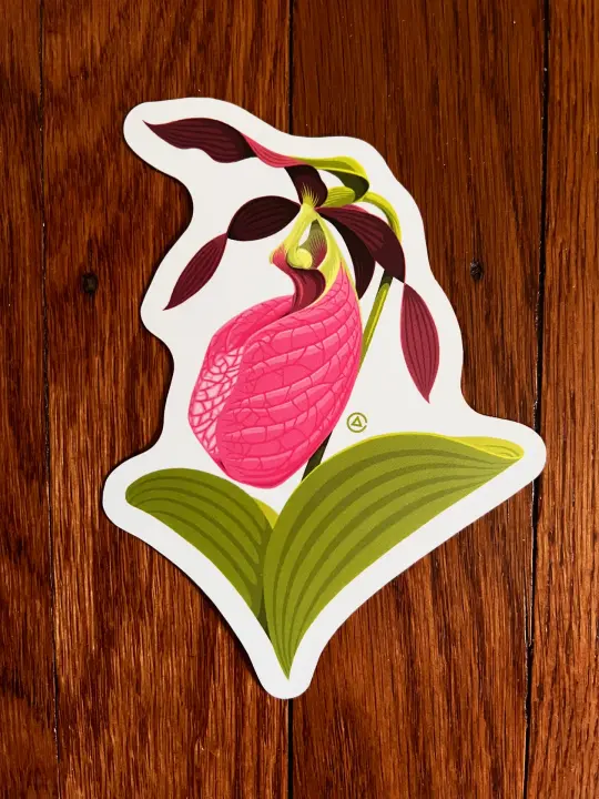Pink Lady's Slipper Orchid 5" Decal