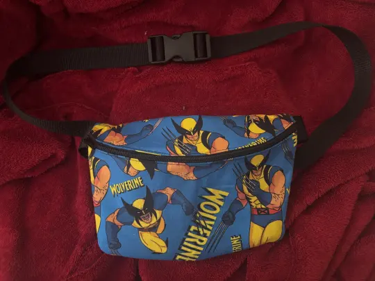 The Best Fanny Pack