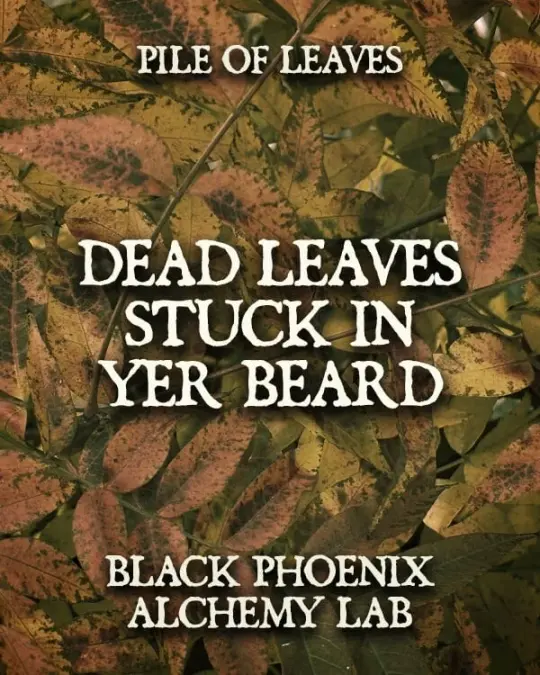 Dead Leaves Stuck In Yer Beard - Beard Oil