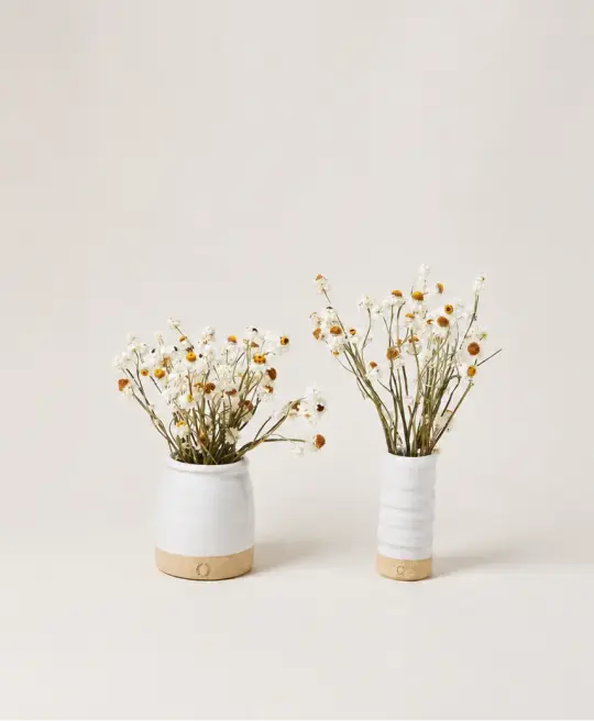 Daisy Vase Set