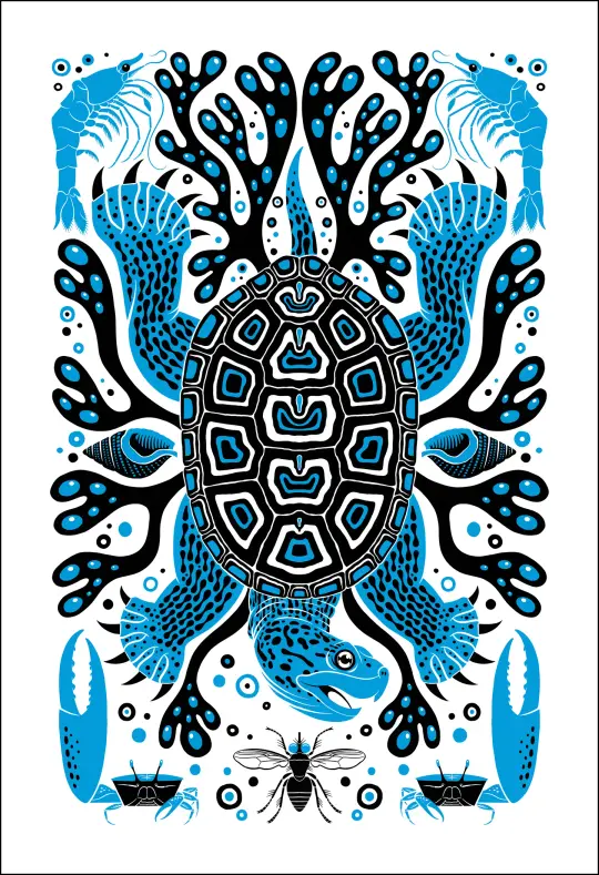 Diamondback Terrapin Print