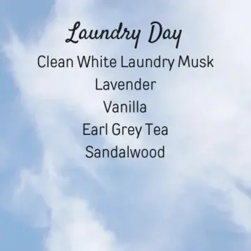 Laundry Day