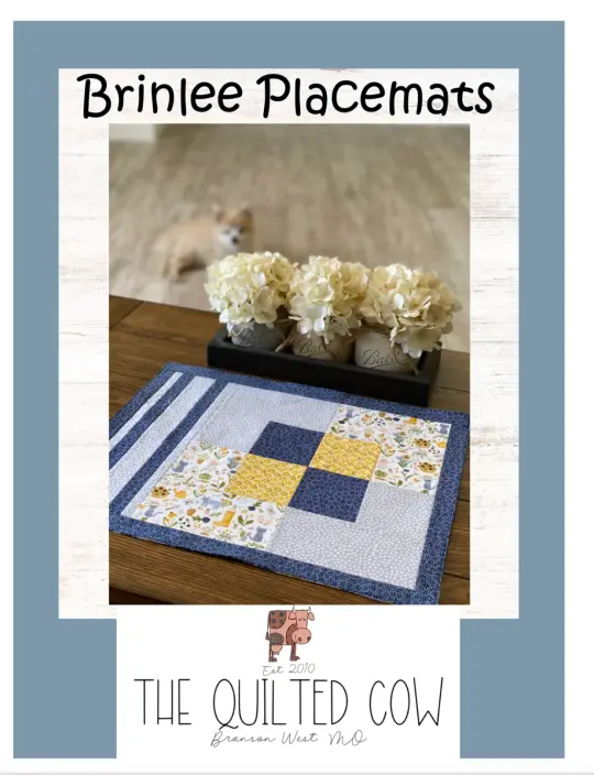 Brinlee Placemats