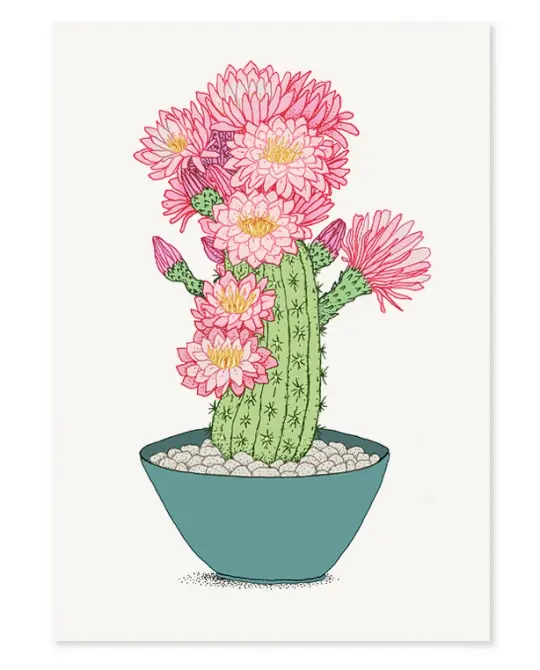 'Pink Cactus' Limited Edition Art Print