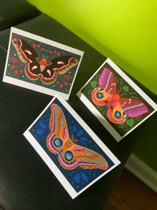 Moth Greeting Card Set