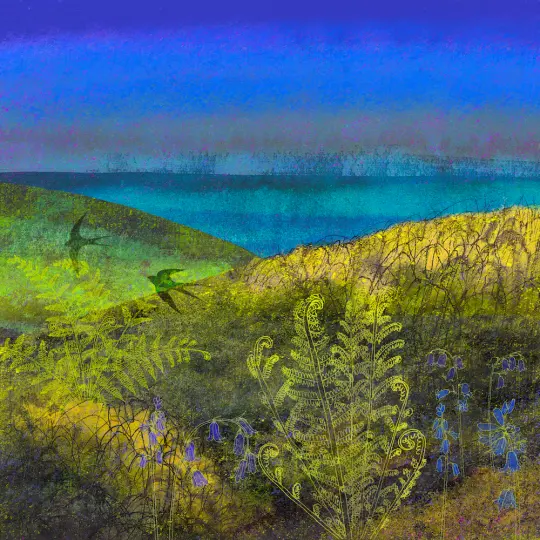 The Coast Path Ilfracombe