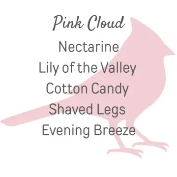 Pink Cloud