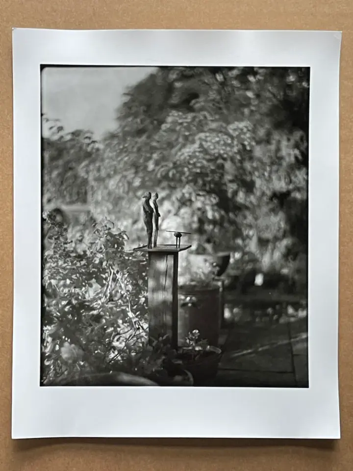 Bird table.