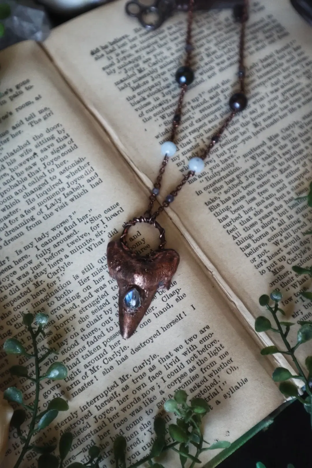 Small Shark Tooth