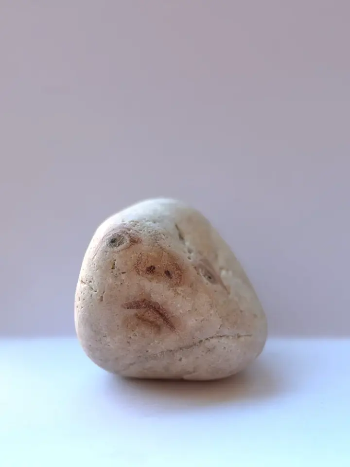 Otto
