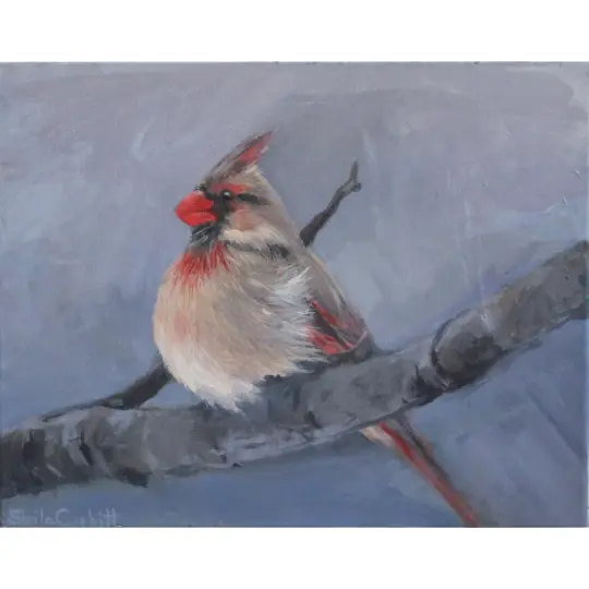 Original Female Cardinal Acrylic Painting 11x14 | Northern Cardinal Bird Art on Canvas