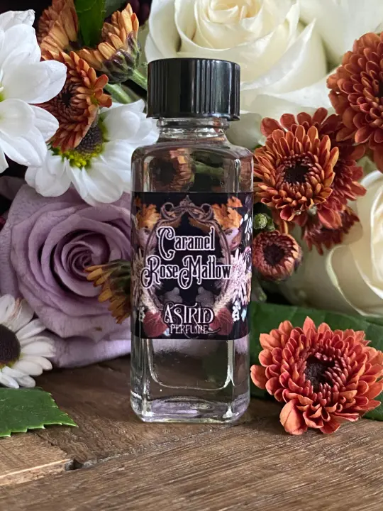 Caramel Rose Mallow