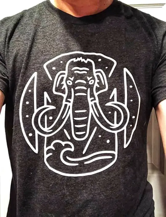 Fitted T-Shirt (runs small)