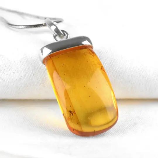 Real Amber Pendant with Insect
