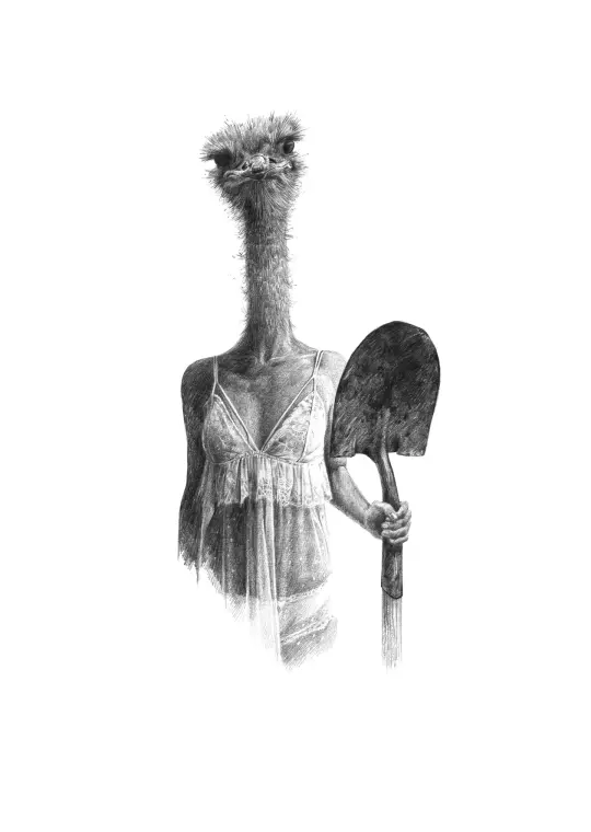 Ostrich