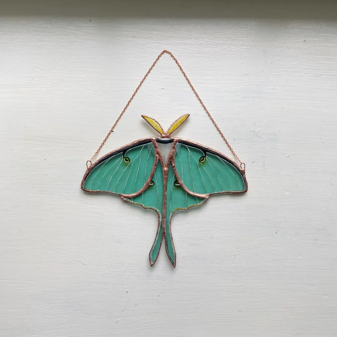 Luna Moth no.5