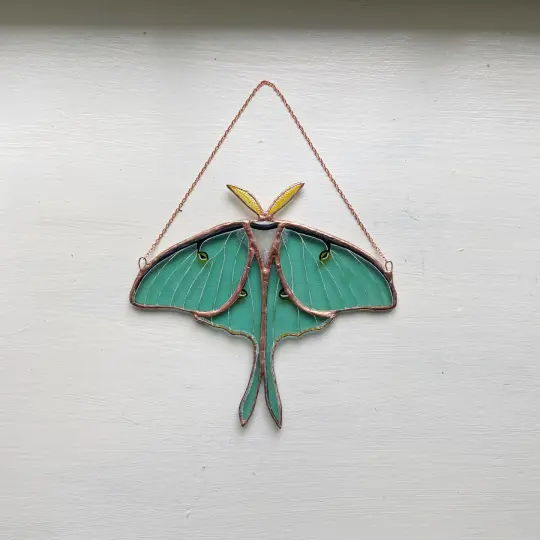 Luna Moth no.5