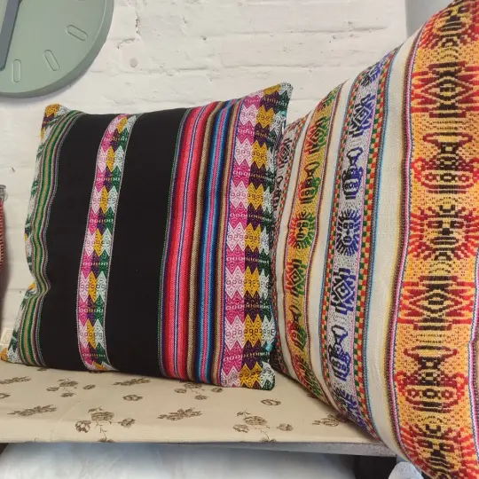 Aguayo pillows duo