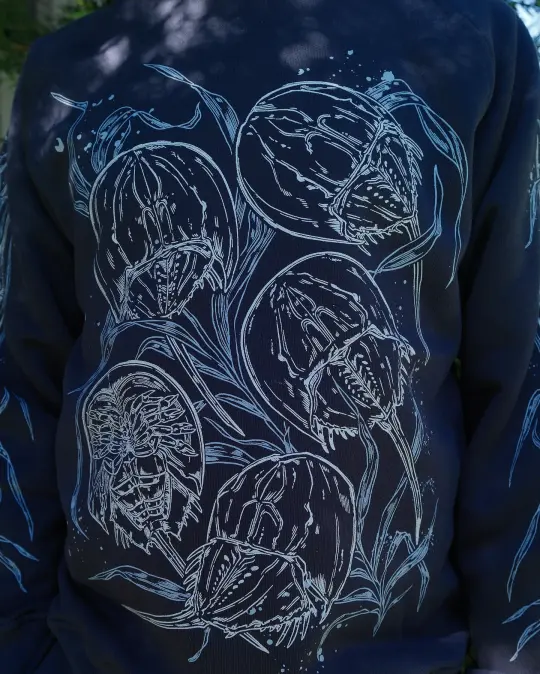 PREORDER [SWEATSHIRT] Little Ancients (Horseshoe Crabs)