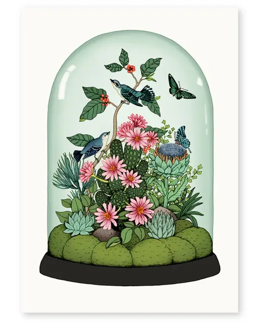 'Botanical Dome' Limited Edition Art Print