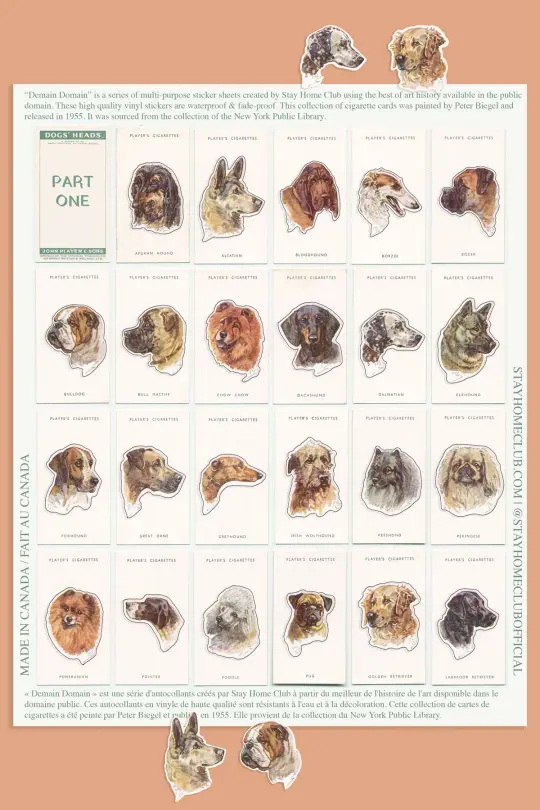 Dogs' Heads / Part 1 - Mega Sticker Sheet