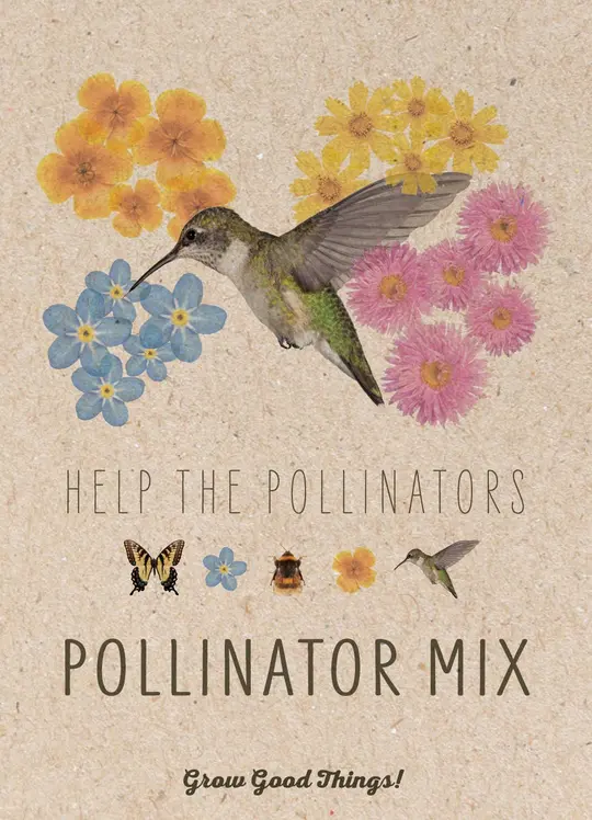 Pollinator Hummingbird - Wildflower Mix Seed Packets
