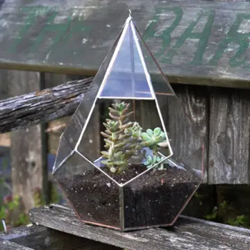 Teardrop Terrarium Kit, large