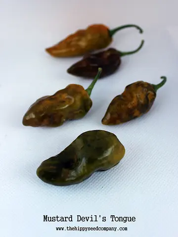 Mustard Devils Tongue Habanero