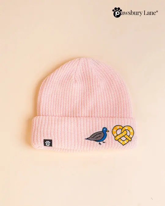 NYC Embroidered Knit Beanie – Pigeon and Pretzel (Pink)