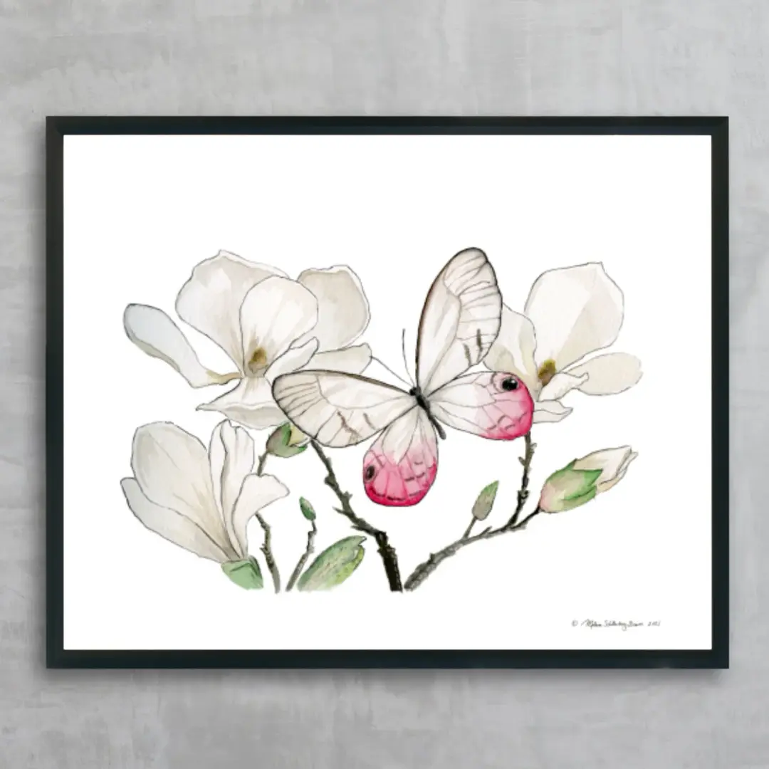 Butterfly on Magnolia Fine Art Print