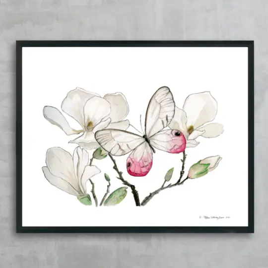 Butterfly on Magnolia Fine Art Print