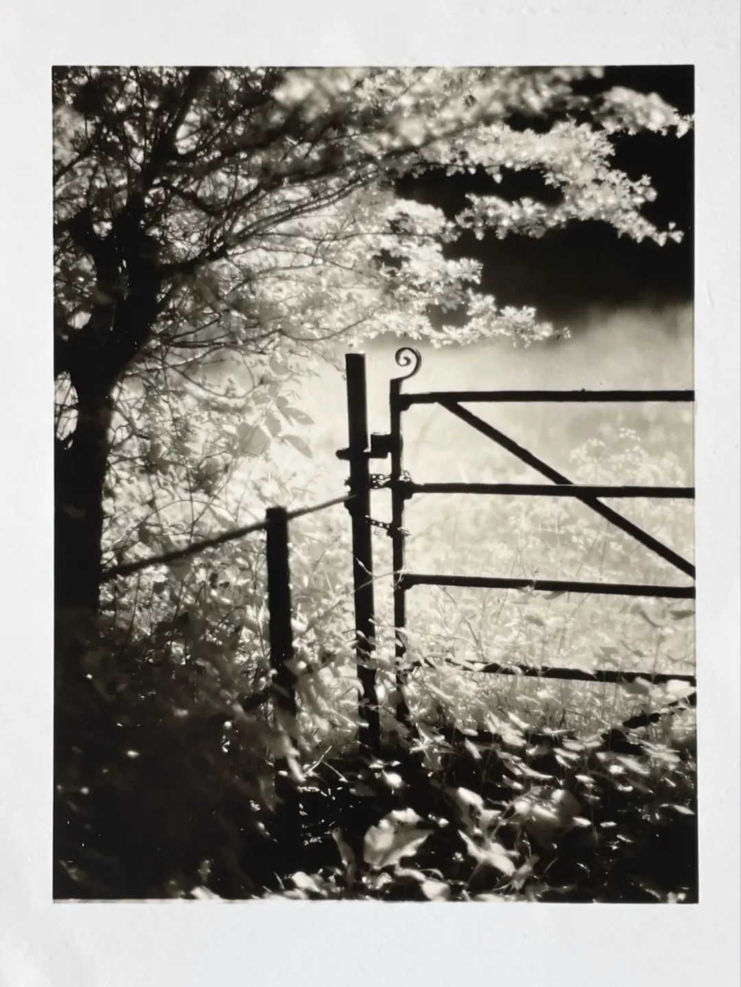 The metal gate.