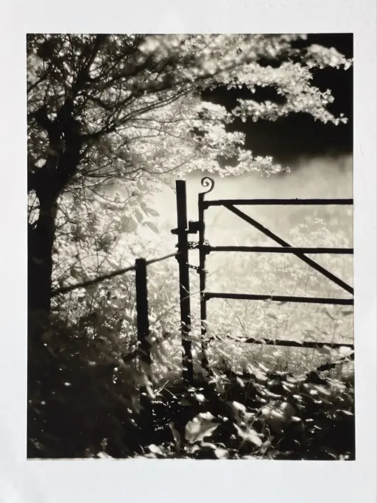 The metal gate.