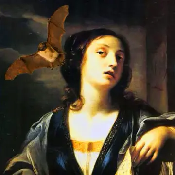 Bat In Your Hair Perfume Oil