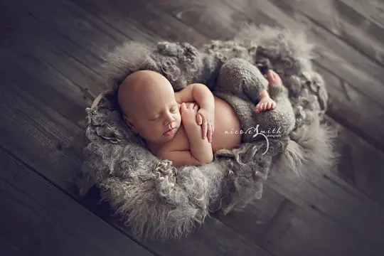 Organic Silver Curly Felted Blanket