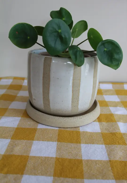 Striped Planter