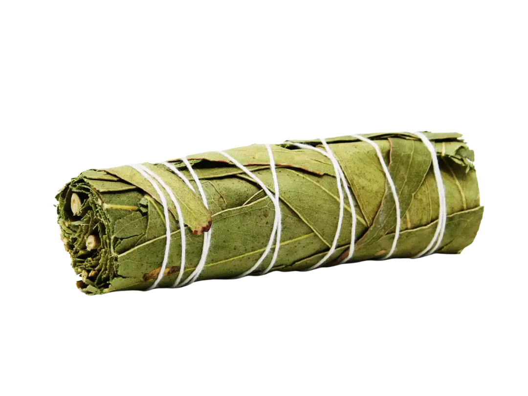 Eucalyptus Smoke Wand